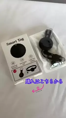 LittleBambooのTikTok投稿