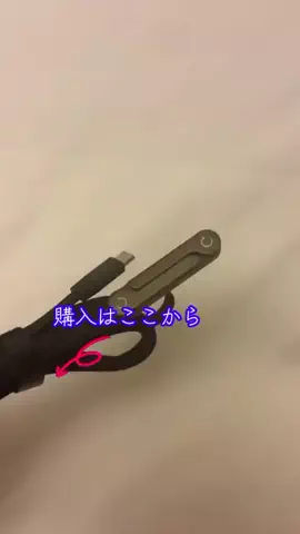 LittleBambooのTikTok投稿