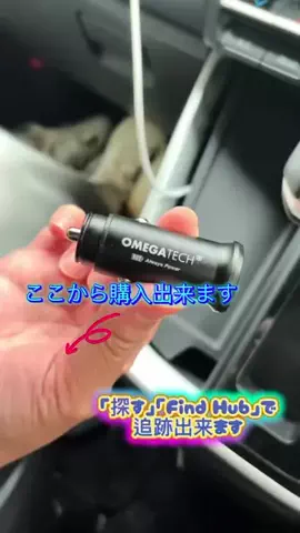 LittleBambooのTikTok投稿
