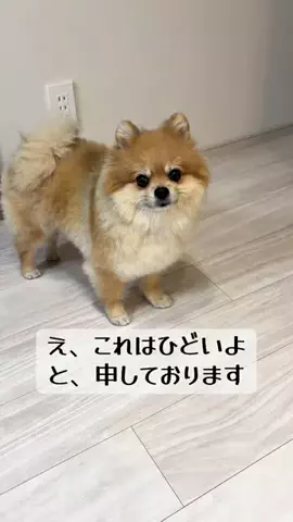 zzz.ponz💤🍊のTikTok投稿