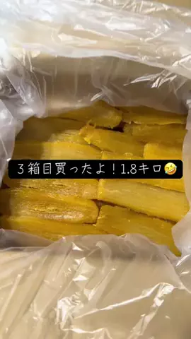 YのTikTok投稿