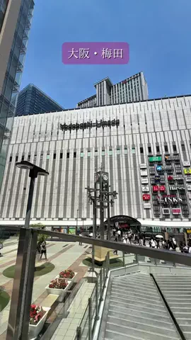 あいこパンダ🐼大阪発グルメおでかけのTikTok投稿