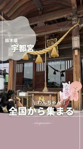 りん￤栃木のグルメとスポット👭のTikTok投稿