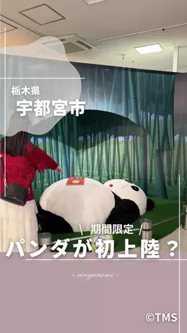 りん￤栃木のグルメとスポット👭のTikTok投稿