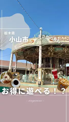 りん￤栃木のグルメとスポット👭のTikTok投稿