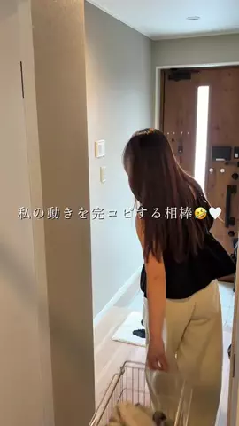 みぴ⌇建売でも垢抜けおしゃれ空間へのTikTok投稿