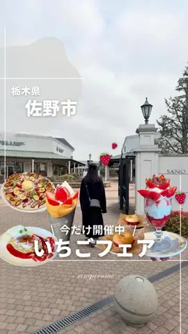 りん￤栃木のグルメとスポット👭のTikTok投稿