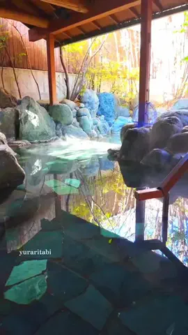湯らり旅のTikTok投稿