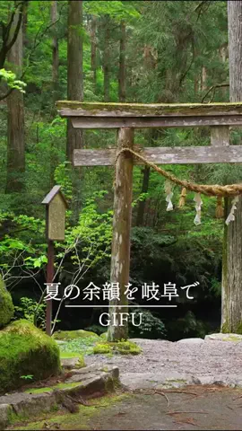 エリアLOVEWalkerのTikTok投稿