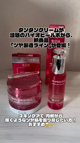 おまめのTikTok投稿
