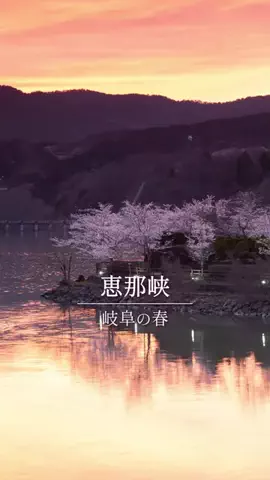 エリアLOVEWalkerのTikTok投稿