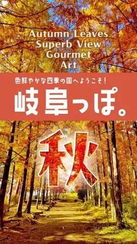 エリアLOVEWalkerのTikTok投稿
