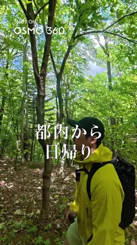山登り始めようのTikTok投稿