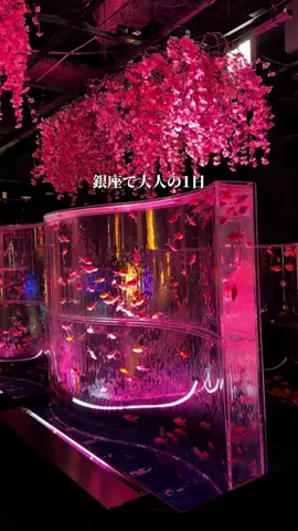 hana_no_odekakeのTikTok投稿