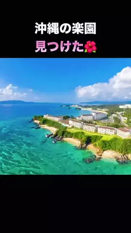 りんたまおのTikTok投稿