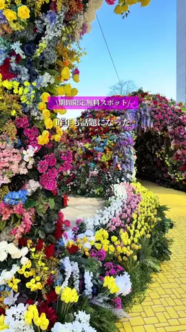 hana_no_odekakeのTikTok投稿