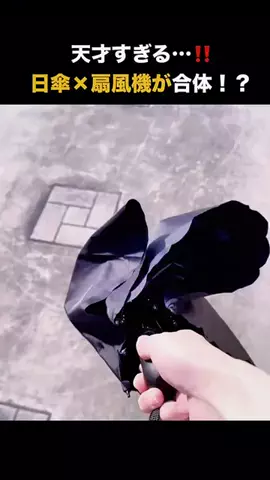 りんたまおのTikTok投稿