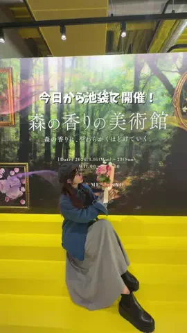 旅するめぐも✈️のTikTok投稿