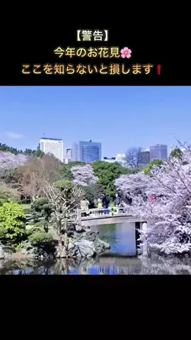 りんたまおのTikTok投稿