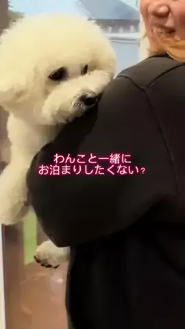 jennifer_styleのTikTok投稿