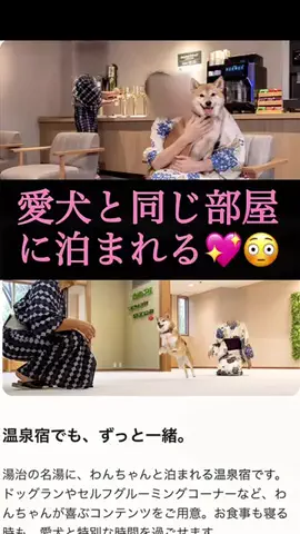 りんたまおのTikTok投稿