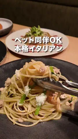 はらぺこ名古屋グルメ【ペコなご】のTikTok投稿
