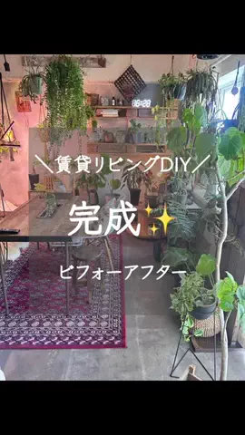 MAIKOのTikTok投稿