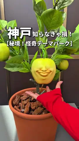 ちょびっとカップルのTikTok投稿
