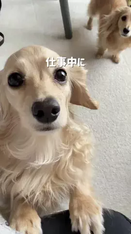 🎀もあらなまぅ🎀のTikTok投稿