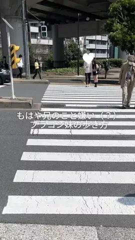 ブラコン妹が尊いのTikTok投稿