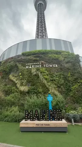 ともみんの大人旅のTikTok投稿