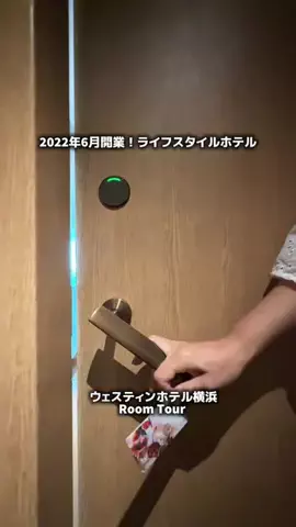 ともみんの大人旅のTikTok投稿