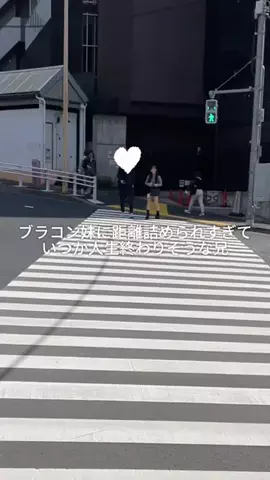 ブラコン妹が尊いのTikTok投稿
