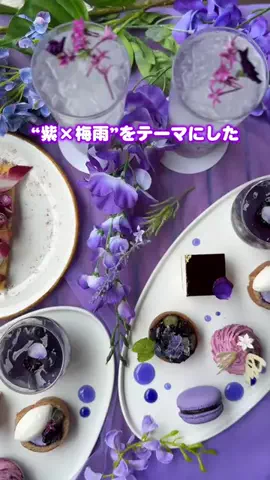 ともみんの大人旅のTikTok投稿