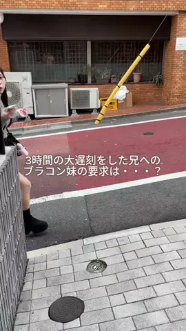 ブラコン妹が尊いのTikTok投稿