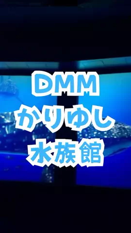 おっきー 🍍沖縄人のTikTok投稿