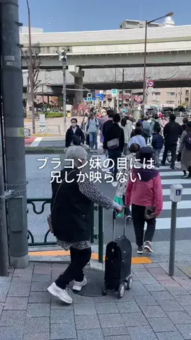 ブラコン妹が尊いのTikTok投稿