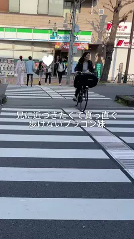ブラコン妹が尊いのTikTok投稿