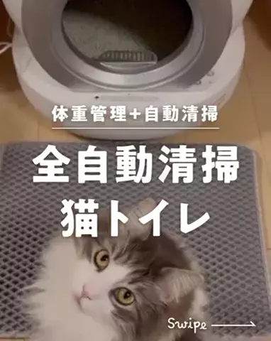 neocrasyhome(ネオクレイシーホーム)のTikTok投稿