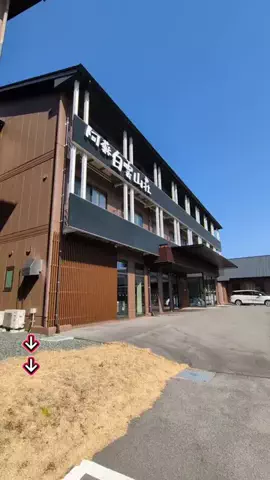 トアンもん　チャンネルのTikTok投稿