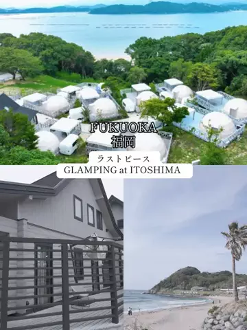 JapanescaのTikTok投稿