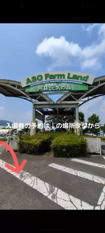 トアンもん　チャンネルのTikTok投稿