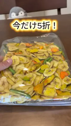ドルフィン生活館のTikTok投稿