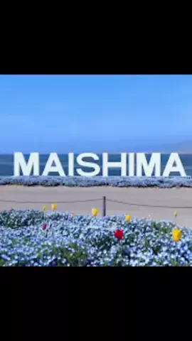 玉次郎のTikTok投稿