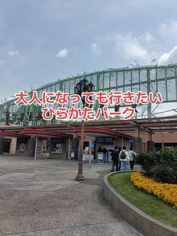野良猫　イチくんとナナちゃんのTikTok投稿