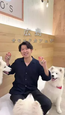 ゆーた 広島グルメ・観光のTikTok投稿