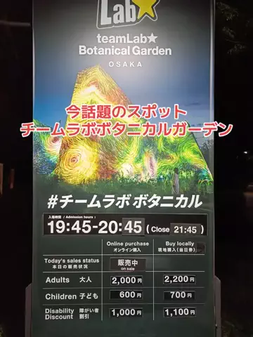 野良猫　イチくんとナナちゃんのTikTok投稿