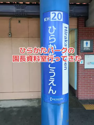 野良猫　イチくんとナナちゃんのTikTok投稿