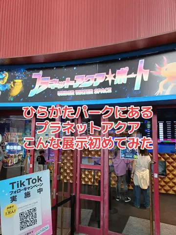 野良猫　イチくんとナナちゃんのTikTok投稿