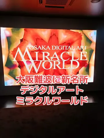 野良猫　イチくんとナナちゃんのTikTok投稿